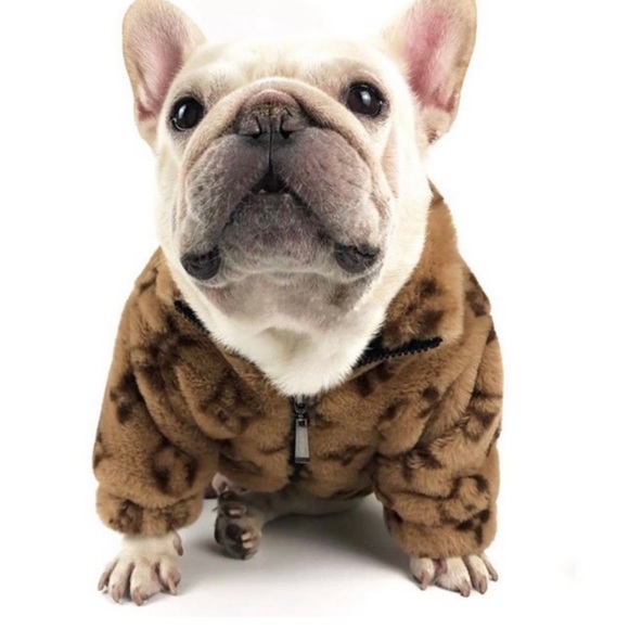 NEW 🐾 designer doggie jacket - Picture 5 of 10